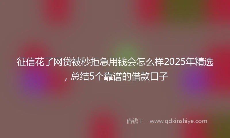 征信花了网贷被秒拒急用钱会怎么样2025年精选，总结5个靠谱的借款口子