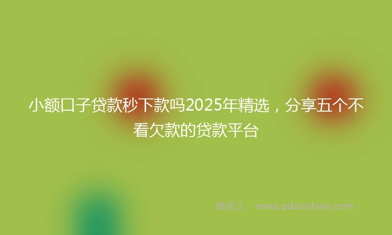 小额口子贷款秒下款吗2025年精选，分享五个不看欠款的贷款平台