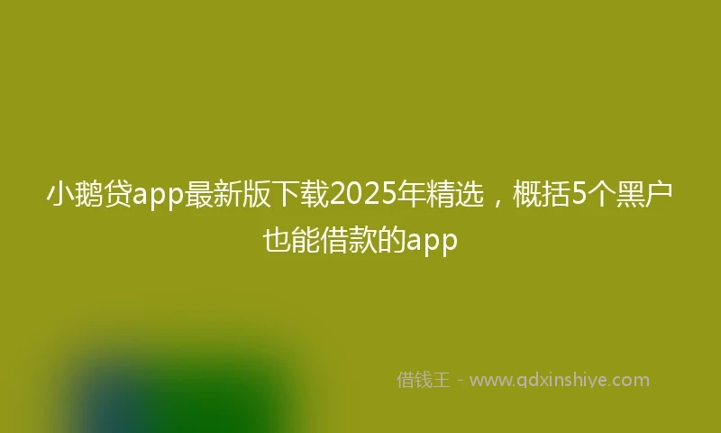 小鹅贷app最新版下载2025年精选,概括5个黑户也能借款的app