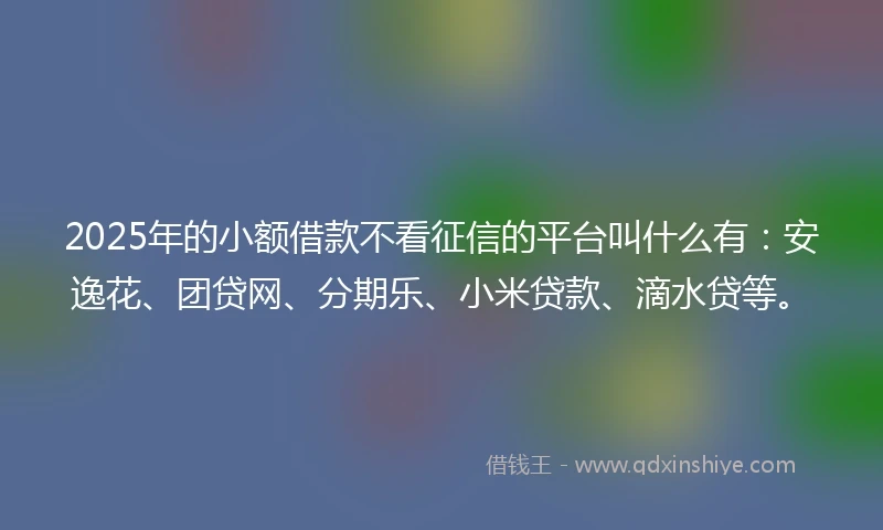 2025年的小额借款不看征信的平台叫什么有：安逸花、团贷网、分期乐、小米贷款、滴水贷等。