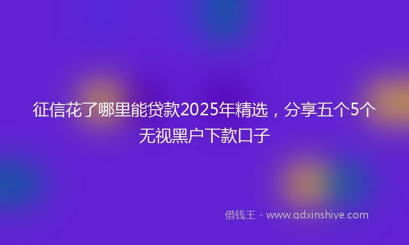 征信花了哪里能贷款2025年精选，分享五个5个无视黑户下款口子