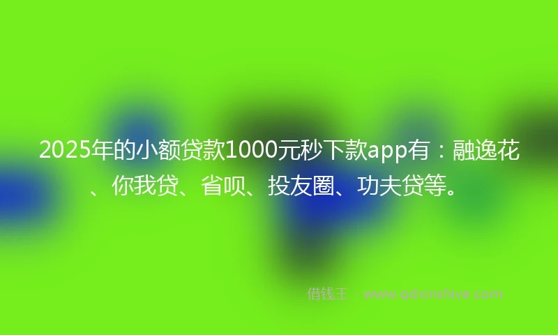 2025年的小额贷款1000元秒下款app有：融逸花、你我贷、省呗、投友圈、功夫贷等。