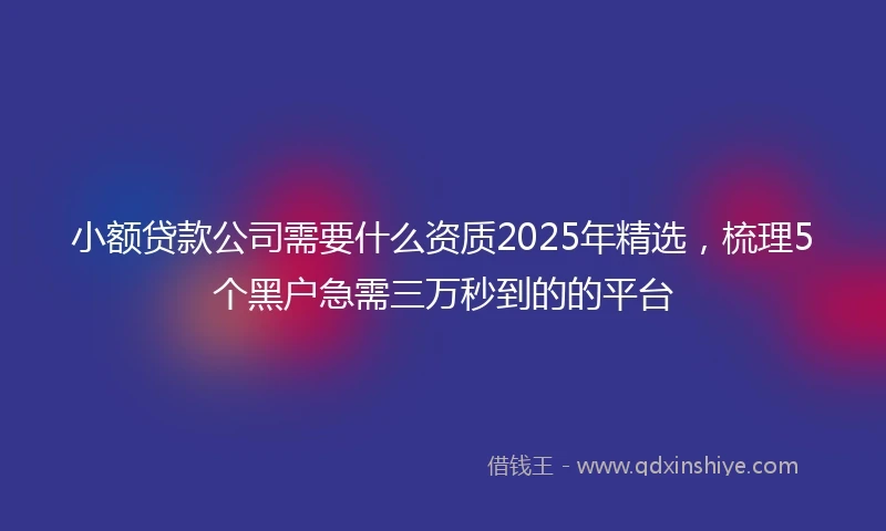 小额贷款公司需要什么资质2025年精选，梳理5个黑户急需三万秒到的的平台