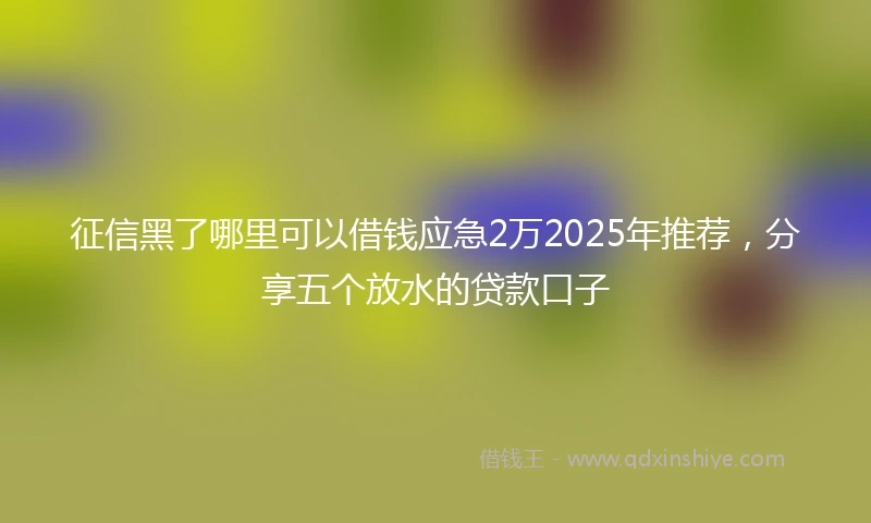 征信黑了哪里可以借钱应急2万2025年推荐，分享五个放水的贷款口子