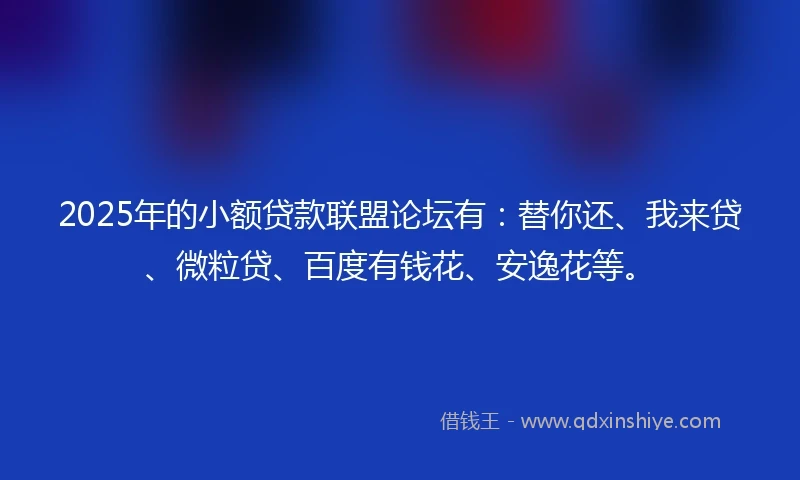2025年的小额贷款联盟论坛有：替你还、我来贷、微粒贷、百度有钱花、安逸花等。