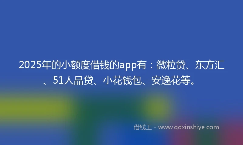 2025年的小额度借钱的app有：微粒贷、东方汇、51人品贷、小花钱包、安逸花等。
