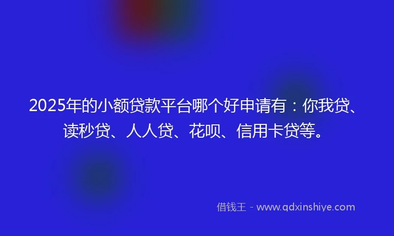 2025年的小额贷款平台哪个好申请有：你我贷、读秒贷、人人贷、花呗、信用卡贷等。