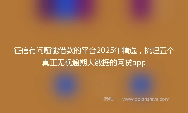 征信有问题能借款的平台2025年精选，梳理五个真正无视逾期大数据的网贷app
