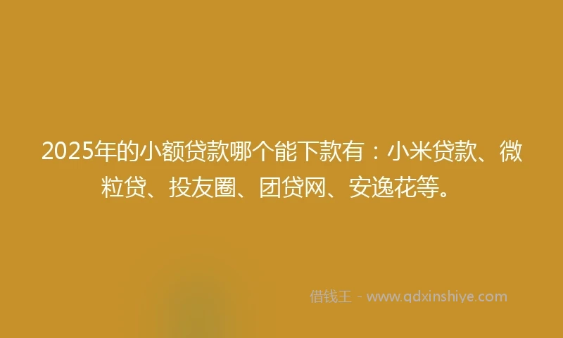 2025年的小额贷款哪个能下款有：小米贷款、微粒贷、投友圈、团贷网、安逸花等。