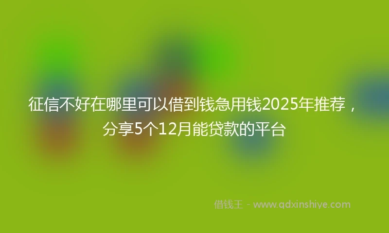 征信不好在哪里可以借到钱急用钱2025年推荐，分享5个12月能贷款的平台