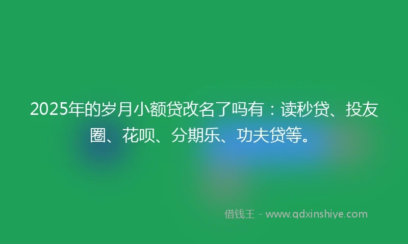 2025年的岁月小额贷改名了吗有：读秒贷、投友圈、花呗、分期乐、功夫贷等。