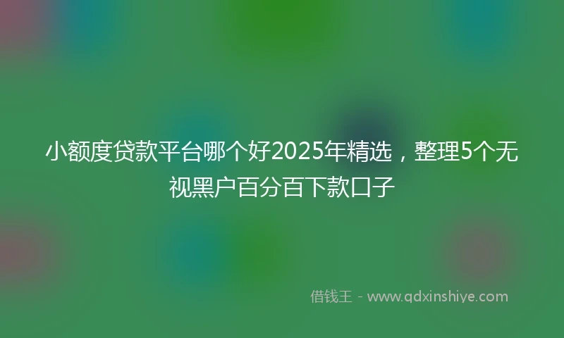 小额度贷款平台哪个好2025年精选，整理5个无视黑户百分百下款口子