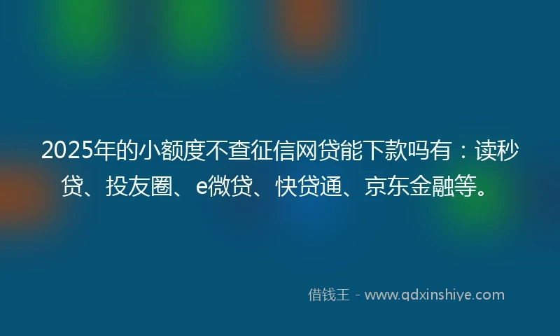 2025年的小额度不查征信网贷能下款吗有：读秒贷、投友圈、e微贷、快贷通、京东金融等。