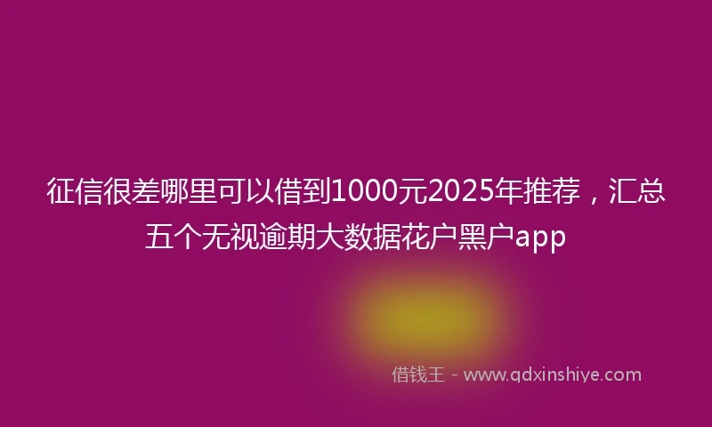 征信很差哪里可以借到1000元2025年推荐，汇总五个无视逾期大数据花户黑户app