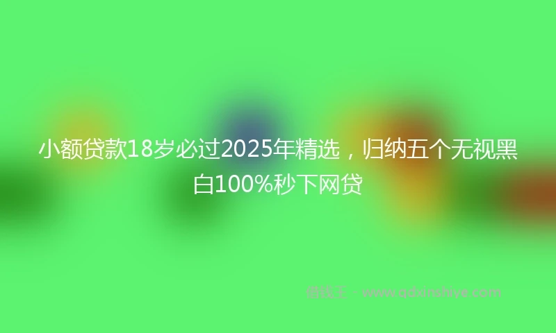 小额贷款18岁必过2025年精选，归纳五个无视黑白100%秒下网贷