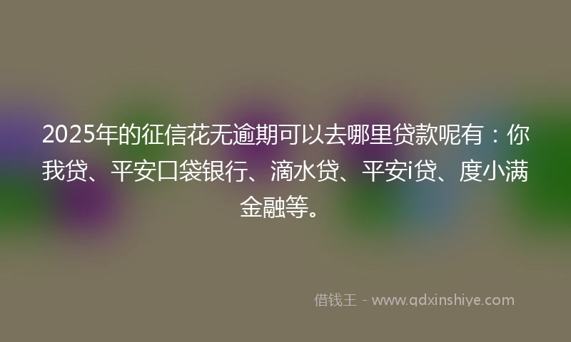 2025年的征信花无逾期可以去哪里贷款呢有：你我贷、平安口袋银行、滴水贷、平安i贷、度小满金融等。