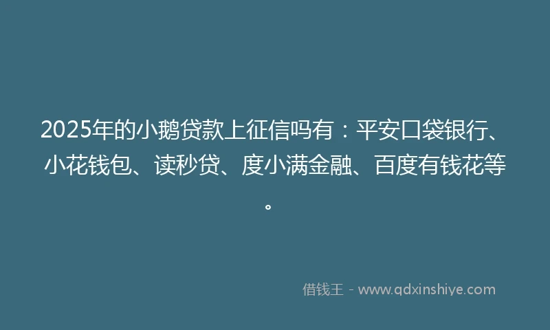 2025年的小鹅贷款上征信吗有:平安口袋银行、小花钱包、读秒贷、度小满金融、百度有钱花等。
