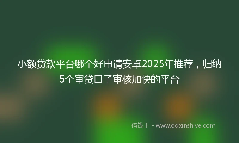 小额贷款平台哪个好申请安卓2025年推荐，归纳5个审贷口子审核加快的平台