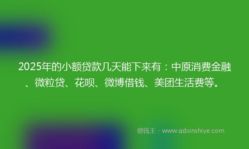 2025年的小额贷款几天能下来有：中原消费金融、微粒贷、花呗、微博借钱、美团生活费等。