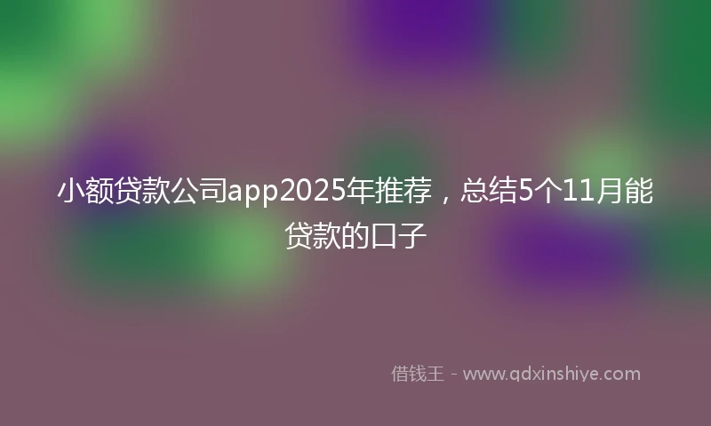 小额贷款公司app2025年推荐，总结5个11月能贷款的口子