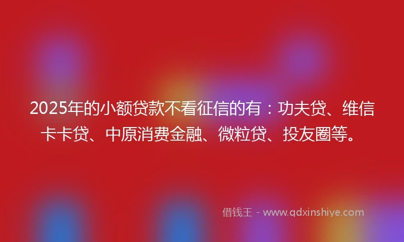 2025年的小额贷款不看征信的有：功夫贷、维信卡卡贷、中原消费金融、微粒贷、投友圈等。