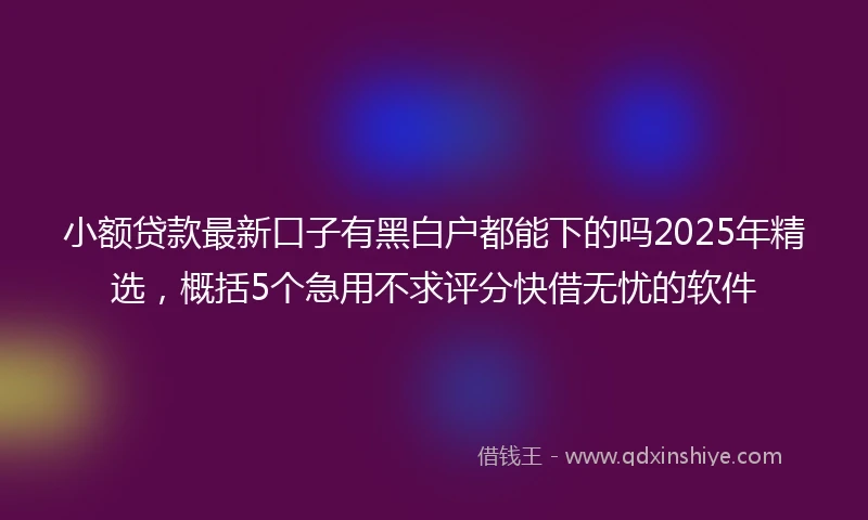 小额贷款最新口子有黑白户都能下的吗2025年精选，概括5个急用不求评分快借无忧的软件