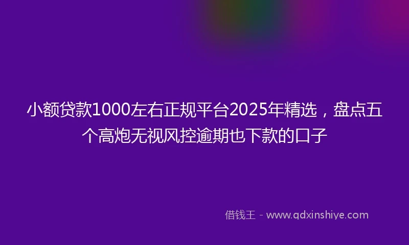 小额贷款1000左右正规平台2025年精选，盘点五个高炮无视风控逾期也下款的口子