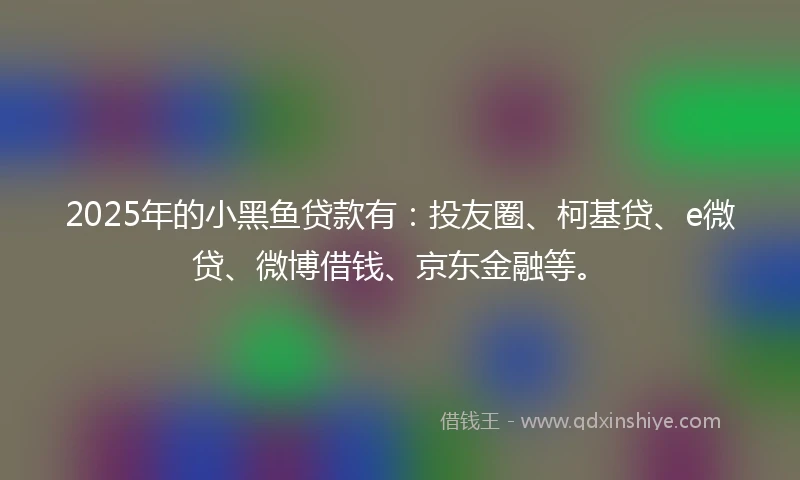 2025年的小黑鱼贷款有：投友圈、柯基贷、e微贷、微博借钱、京东金融等。