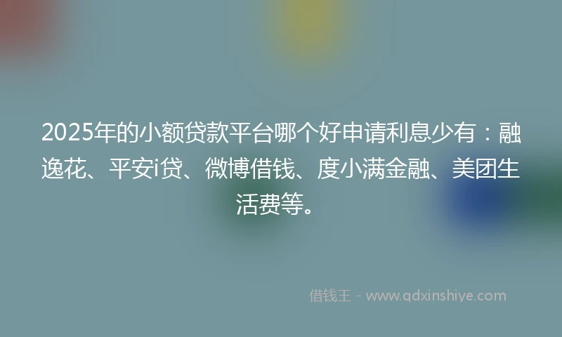 2025年的小额贷款平台哪个好申请利息少有：融逸花、平安i贷、微博借钱、度小满金融、美团生活费等。