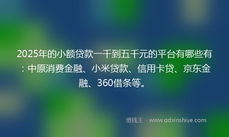 2025年的小额贷款一千到五千元的平台有哪些有：中原消费金融、小米贷款、信用卡贷、京东金融、360借条等。