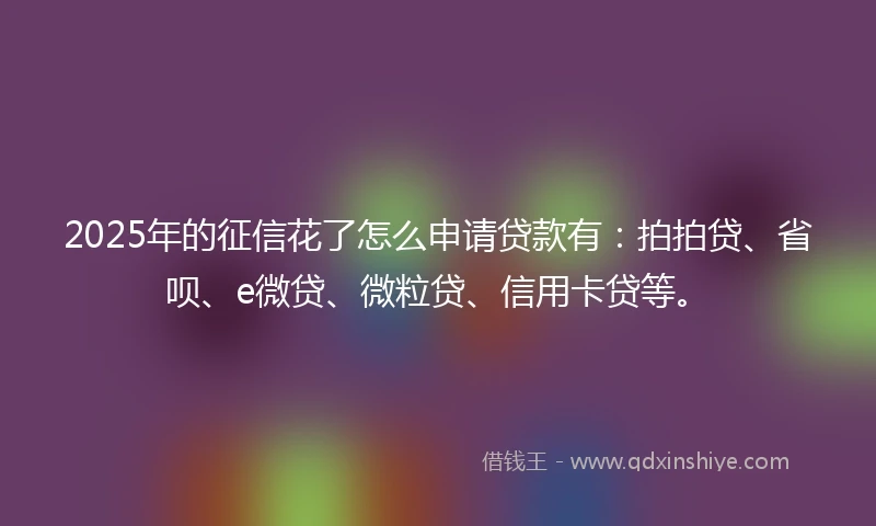 2025年的征信花了怎么申请贷款有：拍拍贷、省呗、e微贷、微粒贷、信用卡贷等。