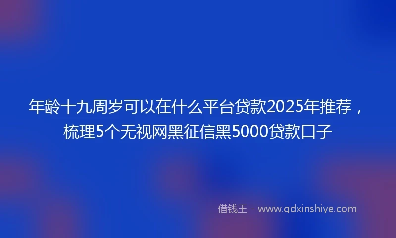 年龄十九周岁可以在什么平台贷款2025年推荐，梳理5个无视网黑征信黑5000贷款口子
