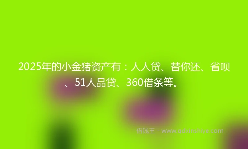 2025年的小金猪资产有：人人贷、替你还、省呗、51人品贷、360借条等。
