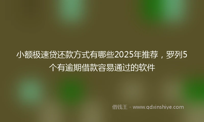 小额极速贷还款方式有哪些2025年推荐，罗列5个有逾期借款容易通过的软件