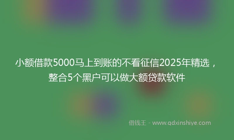 小额借款5000马上到账的不看征信2025年精选，整合5个黑户可以做大额贷款软件