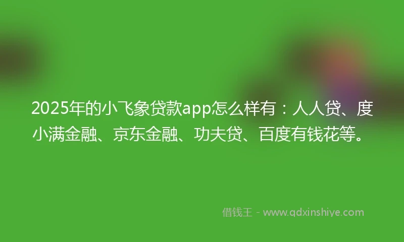 2025年的小飞象贷款app怎么样有：人人贷、度小满金融、京东金融、功夫贷、百度有钱花等。