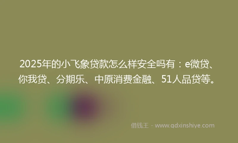 2025年的小飞象贷款怎么样安全吗有：e微贷、你我贷、分期乐、中原消费金融、51人品贷等。
