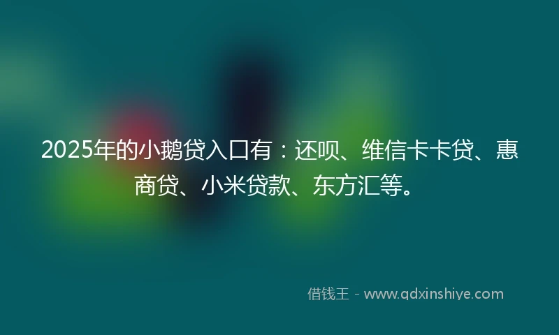 2025年的小鹅贷入口有：还呗、维信卡卡贷、惠商贷、小米贷款、东方汇等。