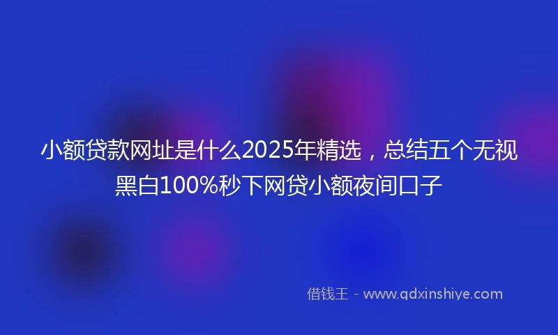 小额贷款网址是什么2025年精选，总结五个无视黑白100%秒下网贷小额夜间口子