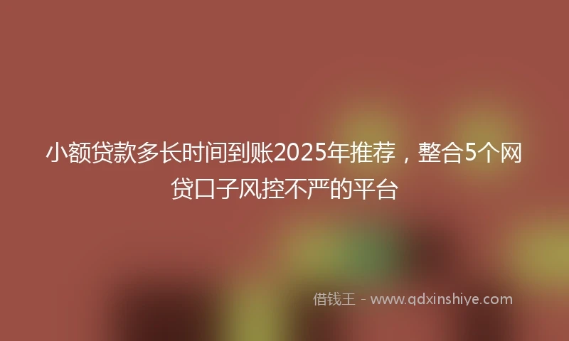 小额贷款多长时间到账2025年推荐，整合5个网贷口子风控不严的平台