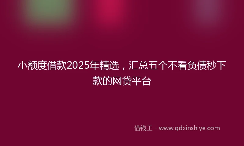 小额度借款2025年精选，汇总五个不看负债秒下款的网贷平台
