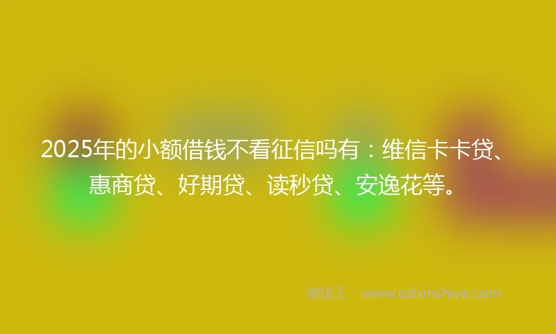 2025年的小额借钱不看征信吗有：维信卡卡贷、惠商贷、好期贷、读秒贷、安逸花等。