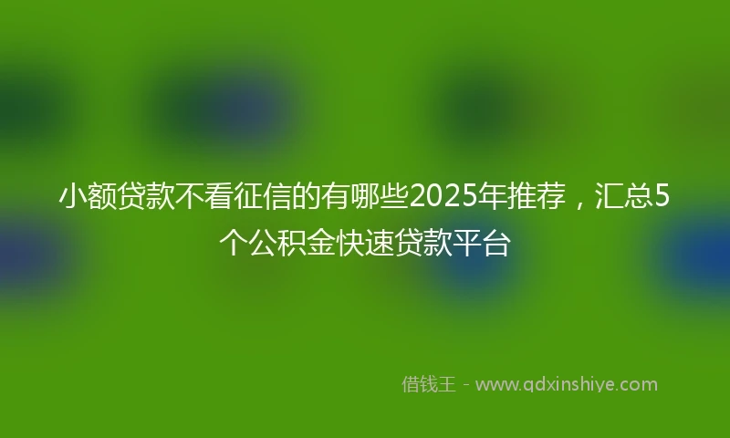 小额贷款不看征信的有哪些2025年推荐，汇总5个公积金快速贷款平台