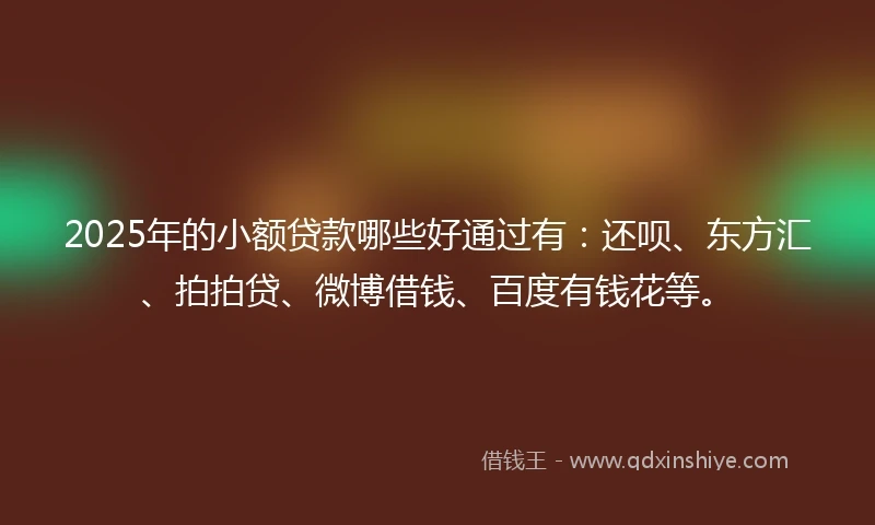 2025年的小额贷款哪些好通过有：还呗、东方汇、拍拍贷、微博借钱、百度有钱花等。