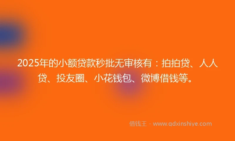 2025年的小额贷款秒批无审核有：拍拍贷、人人贷、投友圈、小花钱包、微博借钱等。