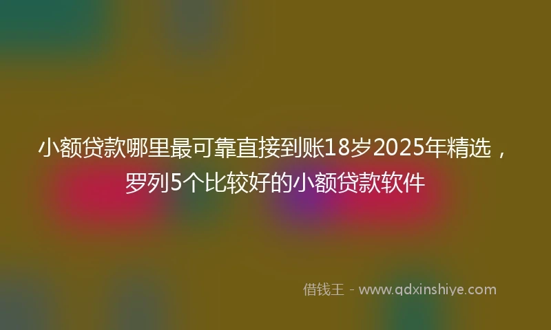 小额贷款哪里最可靠直接到账18岁2025年精选，罗列5个比较好的小额贷款软件