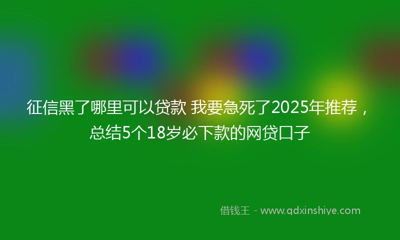 征信黑了哪里可以贷款 我要急死了2025年推荐，总结5个18岁必下款的网贷口子