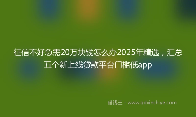 征信不好急需20万块钱怎么办2025年精选，汇总五个新上线贷款平台门槛低app