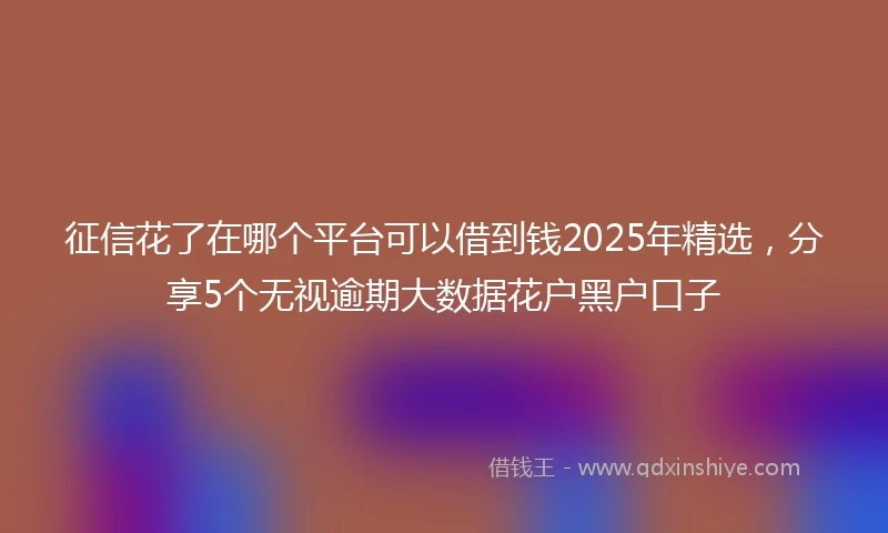 征信花了在哪个平台可以借到钱2025年精选，分享5个无视逾期大数据花户黑户口子