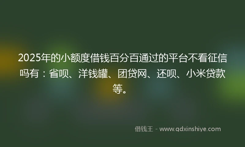 2025年的小额度借钱百分百通过的平台不看征信吗有：省呗、洋钱罐、团贷网、还呗、小米贷款等。